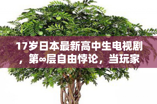 17岁日本最新高中生电视剧，第∞层自由悖论，当玩家在虚拟中挣脱命运，却困住了真实灵魂