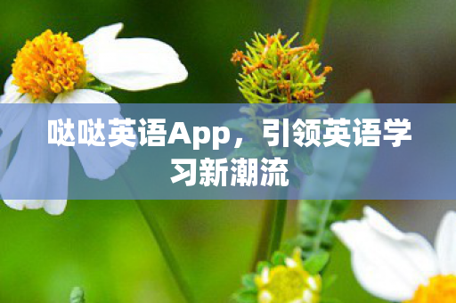 引领英语学习新潮流图片