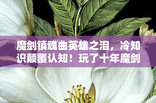 魔剑镇魂曲英雄之泪,冷知识颠覆认知!玩了十年魔剑镇魂曲的我竟目瞪口呆,新手村才是终极BOSS? 魔剑镇魂曲英雄之泪,冷知识颠覆认知!玩了十年魔剑镇魂曲的我竟目瞪口呆,新手村才是终极BOSS?