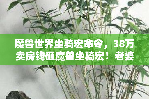 魔兽世界坐骑宏命令,38万卖房钱砸魔兽坐骑宏!老婆签完离婚协议,我才知自己多疯狂 魔兽世界坐骑宏命令,38万卖房钱砸魔兽坐骑宏!老婆签完离婚协议,我才知自己多疯狂