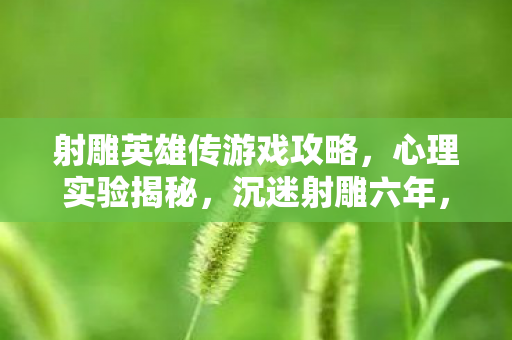 射雕英雄传游戏攻略,心理实验揭秘,沉迷射雕六年,细思极恐的自我麻醉真相 射雕英雄传游戏攻略,心理实验揭秘,沉迷射雕六年,细思极恐的自我麻醉真相