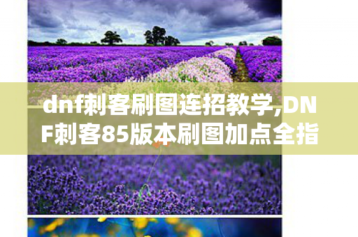dnf刺客刷图连招教学,DNF刺客85版本刷图加点全指南,适配不同流派的高效输出方案 dnf刺客刷图连招教学,DNF刺客85版本刷图加点全指南,适配不同流派的高效输出方案