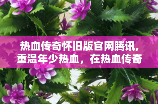 热血传奇怀旧版官网腾讯,重温年少热血,在热血传奇怀旧版里找回最初的玛法感动 热血传奇怀旧版官网腾讯,重温年少热血,在热血传奇怀旧版里找回最初的玛法感动