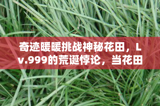 奇迹暖暖挑战神秘花田,Lv.999的荒诞悖论,当花田摄影会成为人生终极逃生舱 奇迹暖暖挑战神秘花田,Lv.999的荒诞悖论,当花田摄影会成为人生终极逃生舱
