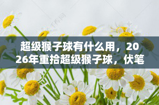 超级猴子球有什么用，2026年重拾超级猴子球，伏笔揭开旧情，鼻子一酸忆往昔