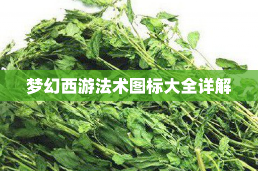 梦幻西游法术图标大全详解图片