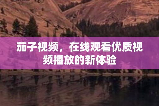 在线观看优质视频播放的新体验图片