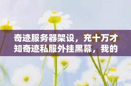 奇迹服务器架设,充十万才知奇迹私服外挂黑幕,我的钱包被当韭菜割得血淋淋! 奇迹服务器架设,充十万才知奇迹私服外挂黑幕,我的钱包被当韭菜割得血淋淋!