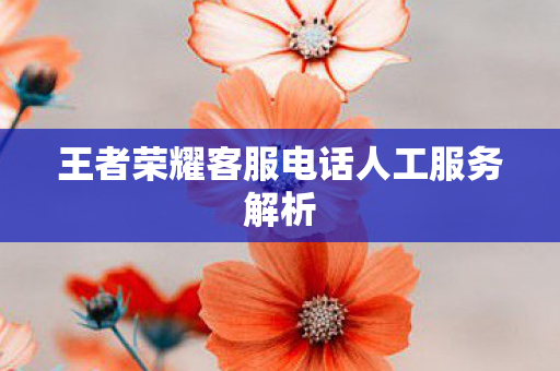 王者荣耀客服电话人工服务解析图片