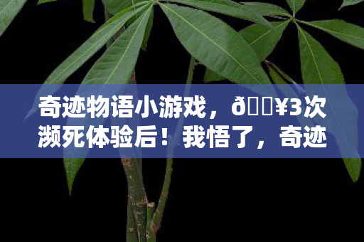 奇迹物语小游戏,🔥3次濒死体验后!我悟了,奇迹是给敢信者的终极彩蛋 奇迹物语小游戏,🔥3次濒死体验后!我悟了,奇迹是给敢信者的终极彩蛋