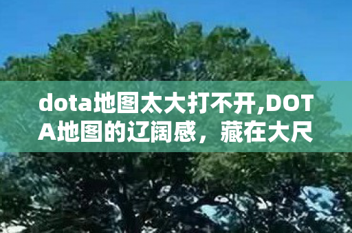 dota地图太大打不开,DOTA地图的辽阔感,藏在大尺寸里的专属游戏浪漫 dota地图太大打不开,DOTA地图的辽阔感,藏在大尺寸里的专属游戏浪漫