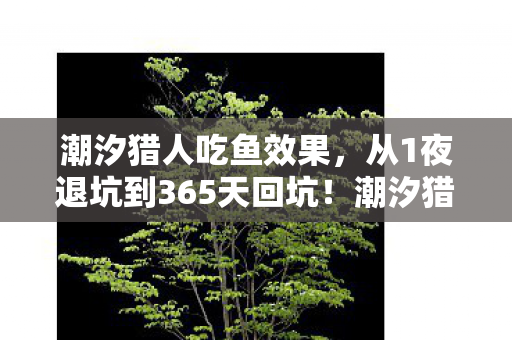 潮汐猎人吃鱼效果,从1夜退坑到365天回坑!潮汐猎人竟让我经历如此震撼反转? 潮汐猎人吃鱼效果,从1夜退坑到365天回坑!潮汐猎人竟让我经历如此震撼反转?