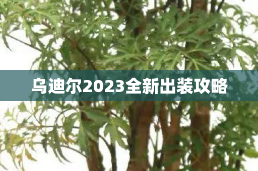 乌迪尔2023全新出装攻略图片