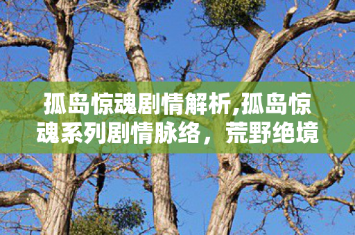 孤岛惊魂剧情解析,孤岛惊魂系列剧情脉络,荒野绝境中的人性试炼 孤岛惊魂剧情解析,孤岛惊魂系列剧情脉络,荒野绝境中的人性试炼