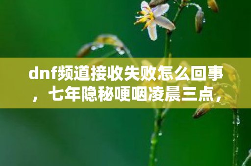 dnf频道接收失败怎么回事,七年隐秘哽咽凌晨三点,那个永远卡在频道97%的夜晚 dnf频道接收失败怎么回事,七年隐秘哽咽凌晨三点,那个永远卡在频道97%的夜晚