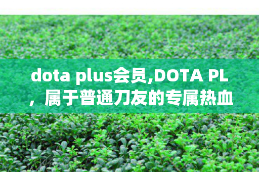dota plus会员,DOTA PL,属于普通刀友的专属热血赛场 dota plus会员,DOTA PL,属于普通刀友的专属热血赛场