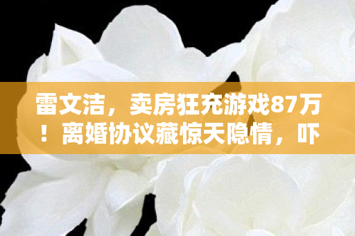 雷文洁,卖房狂充游戏87万!离婚协议藏惊天隐情,吓到腿软! 雷文洁,卖房狂充游戏87万!离婚协议藏惊天隐情,吓到腿软!
