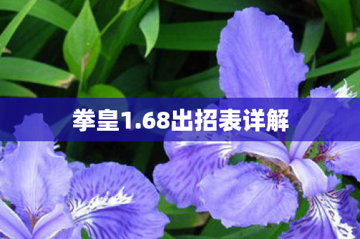 68出招表详解图片