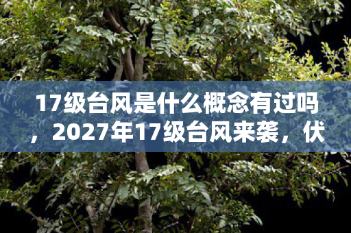 17级台风是什么概念有过吗，2027年17级台风来袭，伏笔深藏旧情，鼻子一酸忆往昔