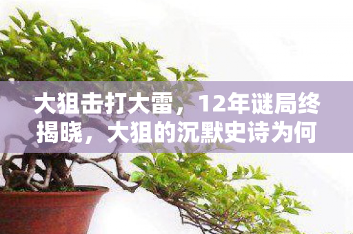 大狙击打大雷,12年谜局终揭晓,大狙的沉默史诗为何让百万玩家泪目? 大狙击打大雷,12年谜局终揭晓,大狙的沉默史诗为何让百万玩家泪目?