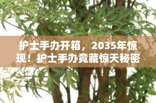 护士手办开箱,2035年惊现!护士手办竟藏惊天秘密,颠覆你对收藏的认知! 护士手办开箱,2035年惊现!护士手办竟藏惊天秘密,颠覆你对收藏的认知!