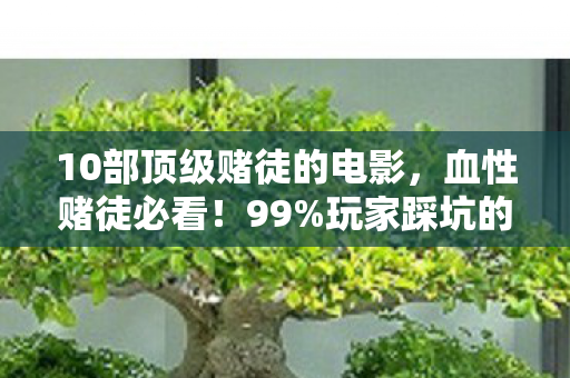10部顶级赌徒的电影,血性赌徒必看!99%玩家踩坑的3大氪金猫腻,上头到想摔手机 10部顶级赌徒的电影,血性赌徒必看!99%玩家踩坑的3大氪金猫腻,上头到想摔手机