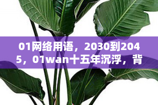 01网络用语,2030到2045,01wan十五年沉浮,背后真相竟让百万玩家集体沉默! 01网络用语,2030到2045,01wan十五年沉浮,背后真相竟让百万玩家集体沉默!