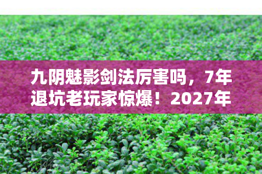九阴魅影剑法厉害吗,7年退坑老玩家惊爆!2027年九阴魅影剑法竟藏着这致命反转? 九阴魅影剑法厉害吗,7年退坑老玩家惊爆!2027年九阴魅影剑法竟藏着这致命反转?