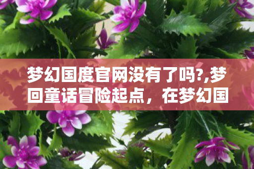 梦幻国度官网没有了吗?,梦回童话冒险起点,在梦幻国度官网拾回童年的软萌回忆 梦幻国度官网没有了吗?,梦回童话冒险起点,在梦幻国度官网拾回童年的软萌回忆