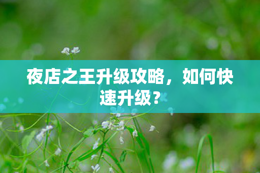 夜店之王升级攻略图片