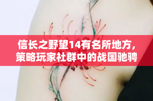信长之野望14有名所地方,策略玩家社群中的战国驰骋回忆 信长之野望14有名所地方,策略玩家社群中的战国驰骋回忆
