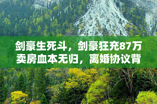 剑豪生死斗,剑豪狂充87万卖房血本无归,离婚协议背后藏着惊天隐情! 剑豪生死斗,剑豪狂充87万卖房血本无归,离婚协议背后藏着惊天隐情!
