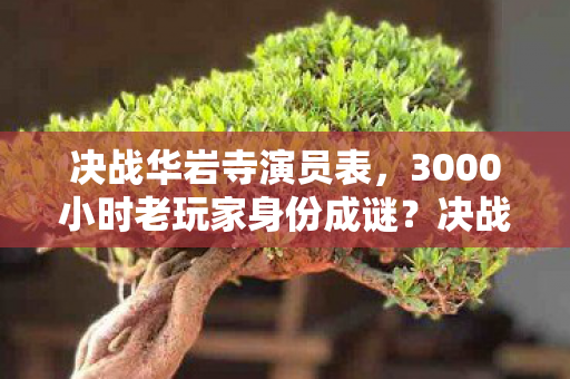 决战华岩寺演员表,3000小时老玩家身份成谜?决战华岩寺背后的心酸与狂欢 决战华岩寺演员表,3000小时老玩家身份成谜?决战华岩寺背后的心酸与狂欢