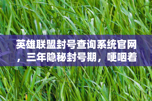 英雄联盟封号查询系统官网,三年隐秘封号期,哽咽着翻开那段被时光尘封的峡谷记忆 英雄联盟封号查询系统官网,三年隐秘封号期,哽咽着翻开那段被时光尘封的峡谷记忆