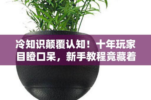 冷知识颠覆认知！十年玩家目瞪口呆，新手教程竟藏着惊天秘密