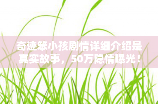 奇迹笨小孩剧情详细介绍是真实故事，50万隐情曝光！离职老兵掀桌怒吼，这方案当年差点吓掉我下巴！