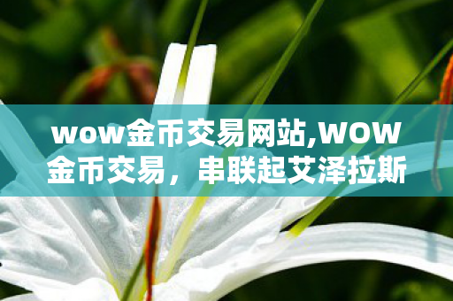 wow金币交易网站,WOW金币交易,串联起艾泽拉斯玩家日常的独特生态 wow金币交易网站,WOW金币交易,串联起艾泽拉斯玩家日常的独特生态