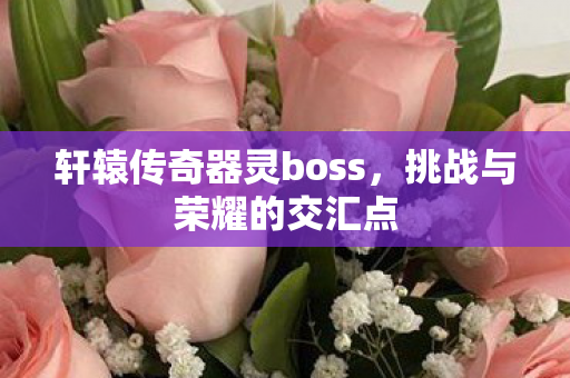 轩辕传奇器灵boss图片