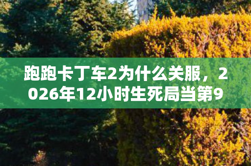 跑跑卡丁车2为什么关服,2026年12小时生死局当第9999具虚拟尸体浮出水面,谁在卡丁车坟场按下重启键? 跑跑卡丁车2为什么关服,2026年12小时生死局当第9999具虚拟尸体浮出水面,谁在卡丁车坟场按下重启键?