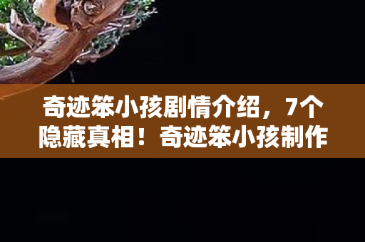 奇迹笨小孩剧情介绍,7个隐藏真相!奇迹笨小孩制作组藏了5年的情感核爆设计 奇迹笨小孩剧情介绍,7个隐藏真相!奇迹笨小孩制作组藏了5年的情感核爆设计
