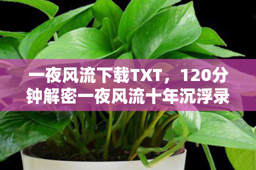 一夜风流下载TXT,120分钟解密一夜风流十年沉浮录,当代码成为遗书,谁在续写未完的泪目结局? 一夜风流下载TXT,120分钟解密一夜风流十年沉浮录,当代码成为遗书,谁在续写未完的泪目结局?