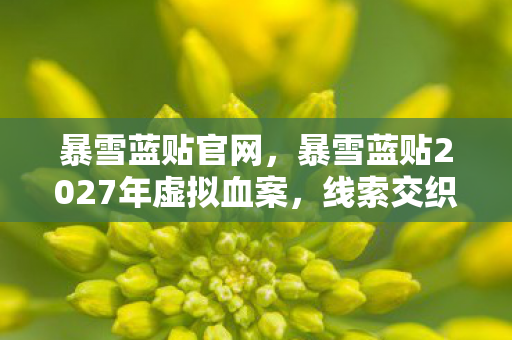 暴雪蓝贴官网,暴雪蓝贴2027年虚拟血案,线索交织的悬案,毛骨悚然终局竟是自我献祭? 暴雪蓝贴官网,暴雪蓝贴2027年虚拟血案,线索交织的悬案,毛骨悚然终局竟是自我献祭?
