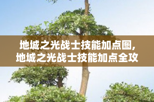 地城之光战士技能加点图,地城之光战士技能加点全攻略,适配副本、PVP双场景的实用思路 地城之光战士技能加点图,地城之光战士技能加点全攻略,适配副本、PVP双场景的实用思路