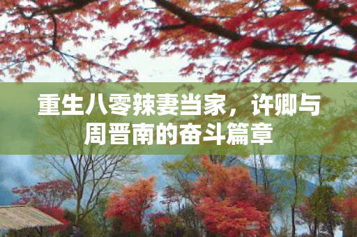 许卿与周晋南的奋斗篇章图片
