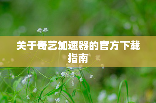 关于奇艺加速器的官方下载指南图片