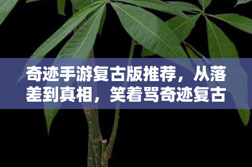 奇迹手游复古版推荐,从落差到真相,笑着骂奇迹复古,笑着笑着就哭了 奇迹手游复古版推荐,从落差到真相,笑着骂奇迹复古,笑着笑着就哭了