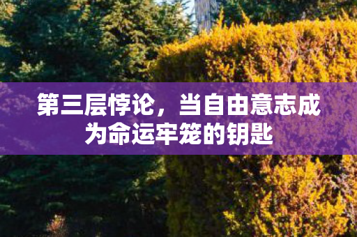 第三层悖论,当自由意志成为命运牢笼的钥匙 第三层悖论,当自由意志成为命运牢笼的钥匙