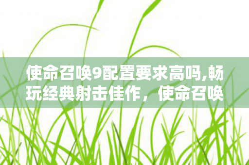 使命召唤9配置要求高吗,畅玩经典射击佳作,使命召唤9配置要求全指南 使命召唤9配置要求高吗,畅玩经典射击佳作,使命召唤9配置要求全指南