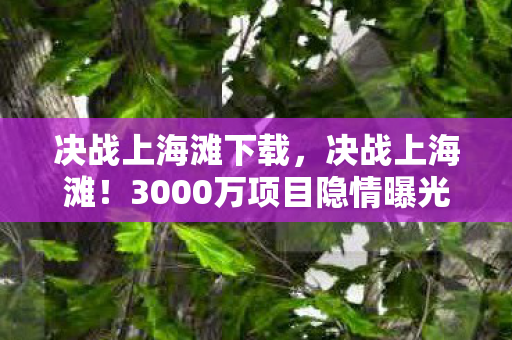 决战上海滩下载,决战上海滩!3000万项目隐情曝光,吓一跳,离职老兵掀桌揭黑幕 决战上海滩下载,决战上海滩!3000万项目隐情曝光,吓一跳,离职老兵掀桌揭黑幕