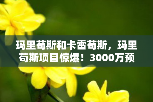 玛里苟斯和卡雷苟斯,玛里苟斯项目惊爆!3000万预算背后隐情,结果让人吓一跳! 玛里苟斯和卡雷苟斯,玛里苟斯项目惊爆!3000万预算背后隐情,结果让人吓一跳!